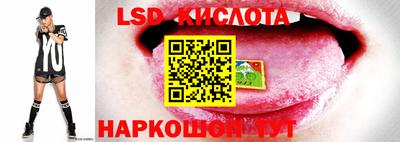 PSILOCYBIN Бийск