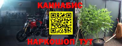 PSILOCYBIN Бийск