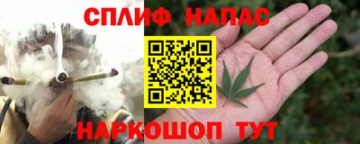 PSILOCYBIN Бийск