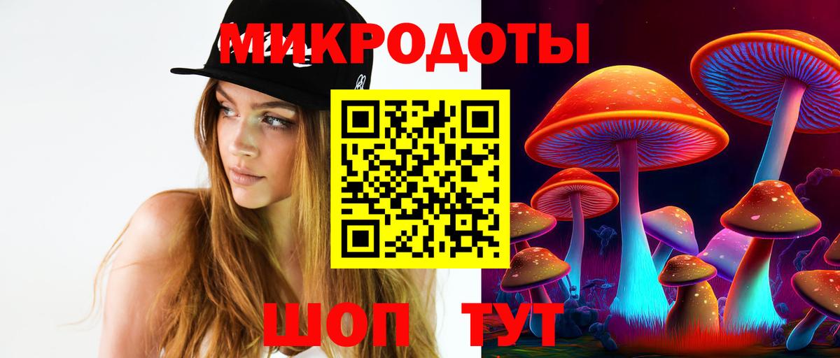 Кизляр  Псилоцибиновые грибы Psilocybine cubensis  Вход с VPN 